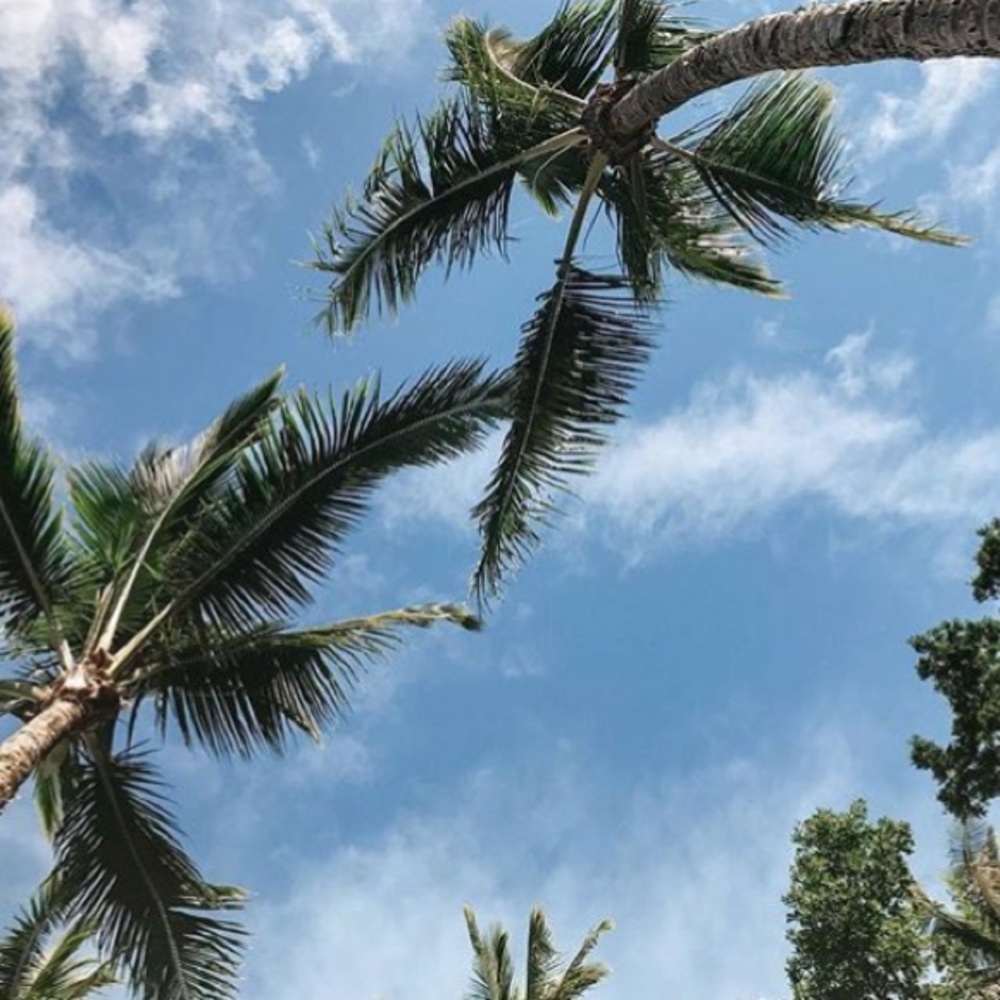 Meet your Posher, Payton